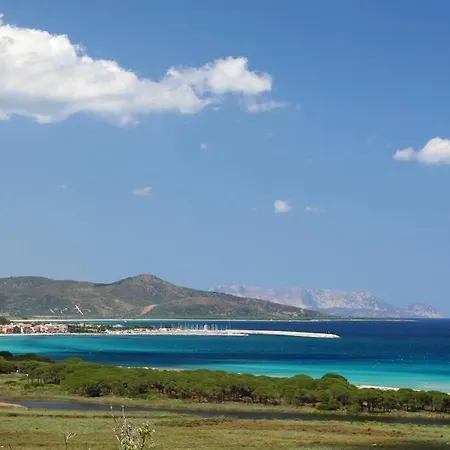 Posidonia Sardegna *