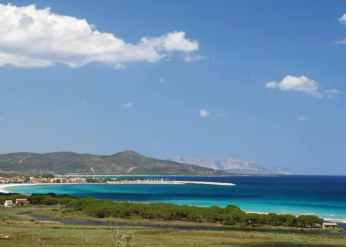 Posidonia Sardegna *